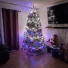 Lamb's Christmas Trees gift card