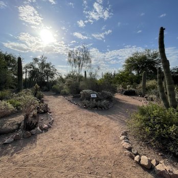 Desert Botanical Garden - Botanical Gardens Near Me - Phoenix, Arizona
