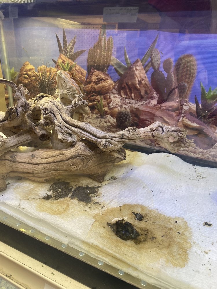 Animal Ark Pet Stores Image