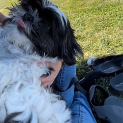 Apple Valley Dog Park - My dog3