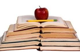 Mountain View Comfort - veterans service organization in Colorado Springs, CO