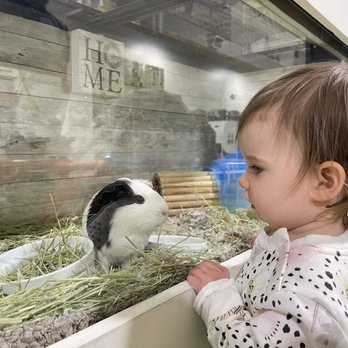 Play Street Museum - Highlands Ranch - Children's Museums Near Me - Highlands Ranch, Colorado