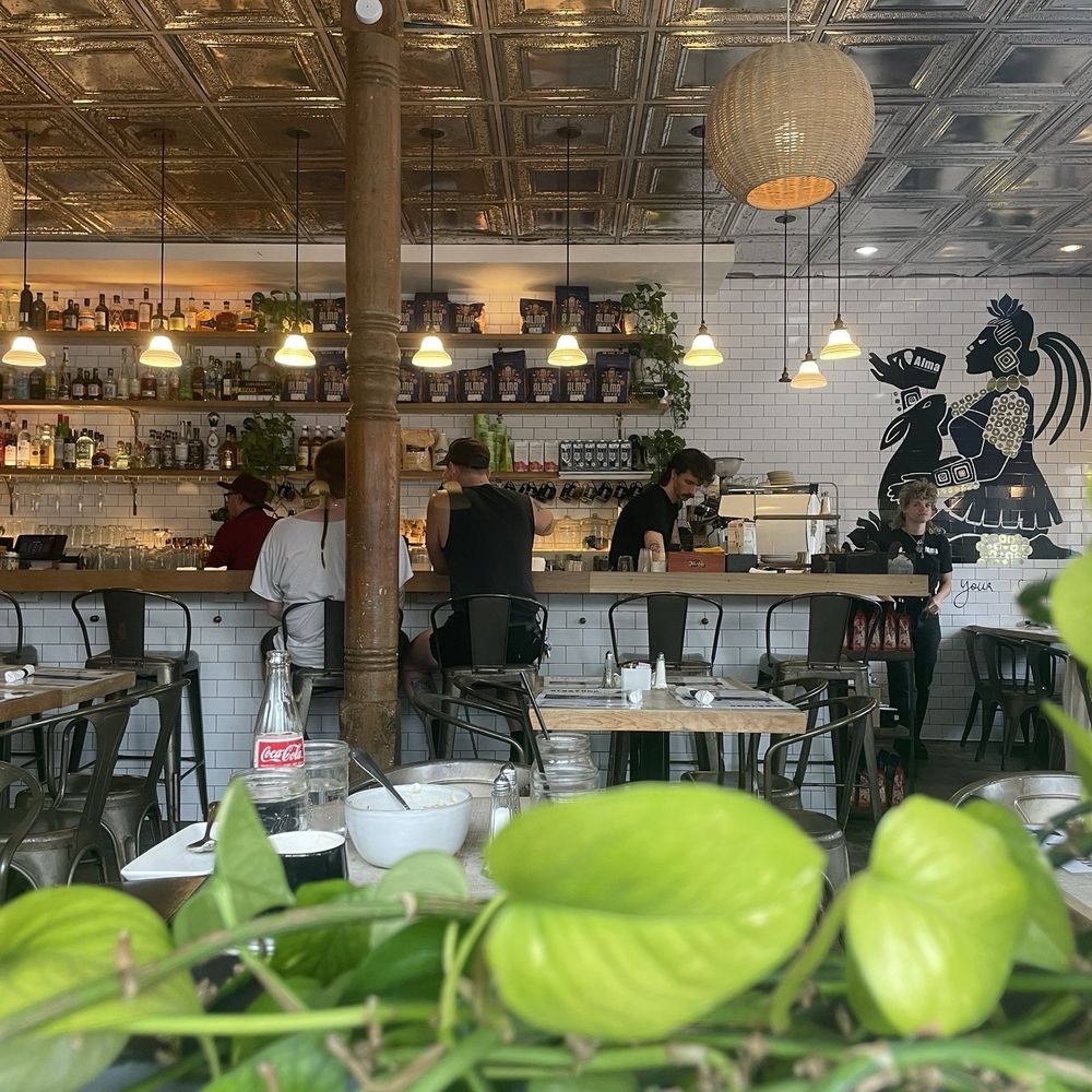 Alma Cafe - Coffee & Tea Near Me - New Orleans, Louisiana