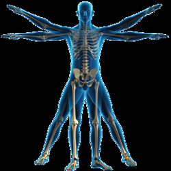 FYZICAL Therapy & Balance Centers