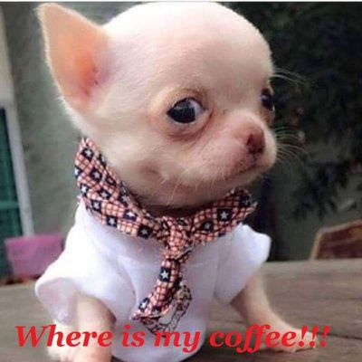 park feed store & pet supply