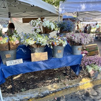 Ojai Farmers' Market - Fruits & Veggies Near Me - Ojai, California Ojai Farmers' Market - Fruits & Veggies Near Me - Ojai, California