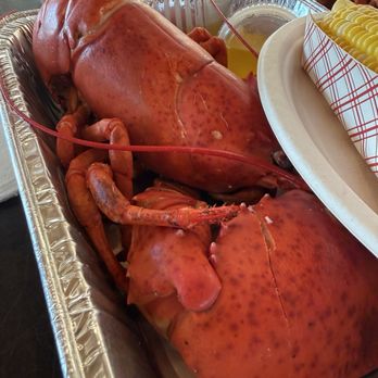 Beal's Lobster Pier - 3 pound lobster - Seafood Near Me - Southwest Harbor, Maine