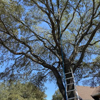 My Next Tree Service - Tree Services Near Me My Next Tree Service - Tree Services Near Me