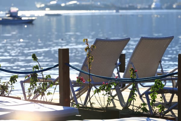 Special Class Hotel in Costa Farilya by null