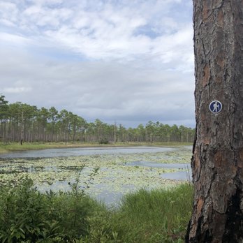 Patsy Pond Nature Trail - Trail marker along the pond. - Parks Near Me - Newport, North Carolina Patsy Pond Nature Trail - Trail marker along the pond. - Parks Near Me - Newport, North Carolina