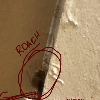 Motel 6 - Roaches - Hotels Near Me - Saint Joseph, Missouri Motel 6 - Roaches - Hotels Near Me - Saint Joseph, Missouri