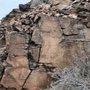 Photo of Griffith Canyon Petroglyphs
