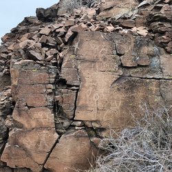Griffith Canyon Petroglyphs