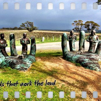 d'Arenberg - Wine Tasting Room Near Me - McLaren Vale, SA