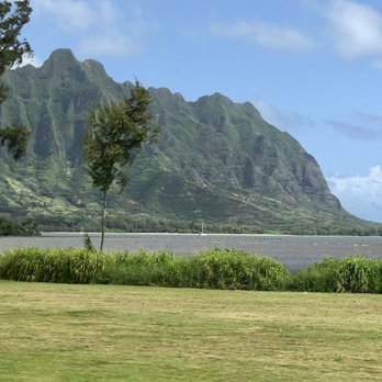 Hawaii Turtle Tours - Tours Near Me - Honolulu, Hawaii