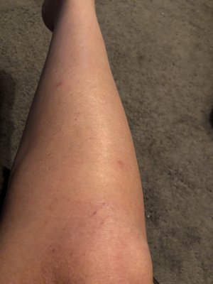 Bryce Canyon Pines Lodge by null