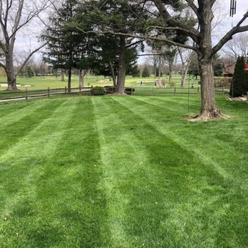 Wilson Landscaping - a freshly mowed lawn - Lawn Services Near Me Wilson Landscaping - a freshly mowed lawn - Lawn Services Near Me