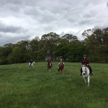 Big River Barn Rescue - Horseback Riding Near Me