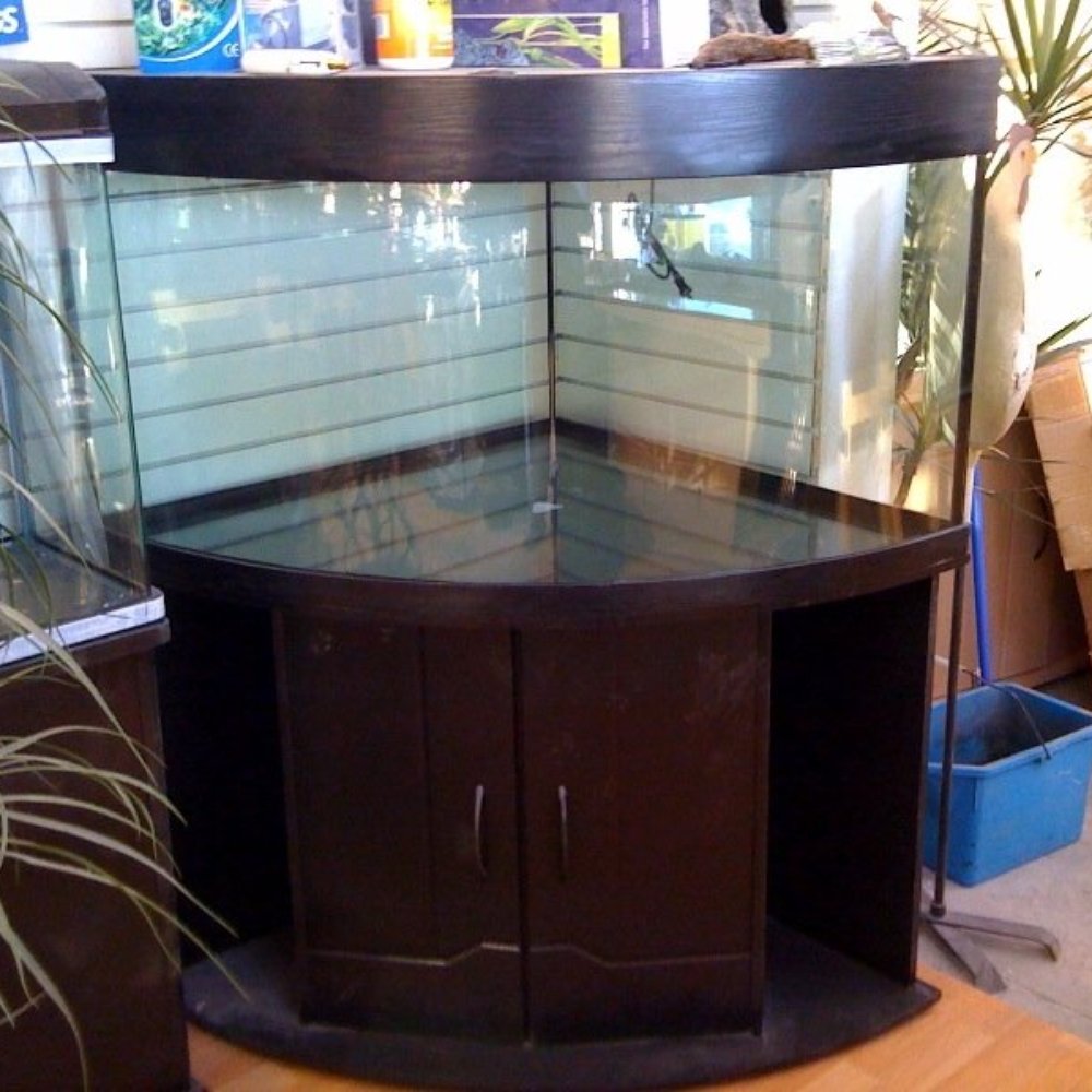 Bow Valley Aquarium - Pet Stores Near Me - Calgary, Alberta Bow Valley Aquarium - Pet Stores Near Me - Calgary, Alberta