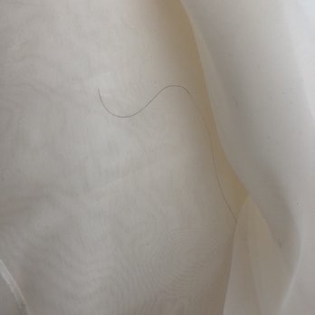 David's Bridal - They'll give you a "brand new" dress with someone else's hair in it for extra padding - Bridal Near Me - Houston, Texas David's Bridal - They'll give you a "brand new" dress with someone else's hair in it for extra padding - Bridal Near Me - Houston, Texas