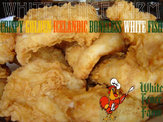 White Fence Farm by null