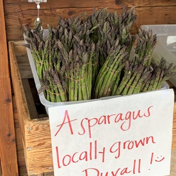 Cha New Life Garden - a display of asparagus - Fruits & Veggies Near Me - Bellevue, Washington Cha New Life Garden - a display of asparagus - Fruits & Veggies Near Me - Bellevue, Washington