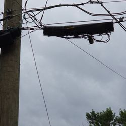 Altafiber - Dead bird because you refused to come help.