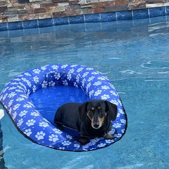 Leslie's - Queen of my pool - Hot Tub & Pool Near Me - Queen Creek, Arizona Leslie's - Queen of my pool - Hot Tub & Pool Near Me - Queen Creek, Arizona