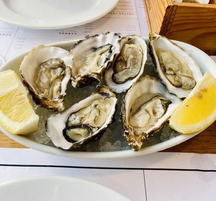 Meia-Nau Matosinhos by null