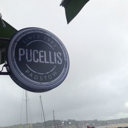 Pucellis