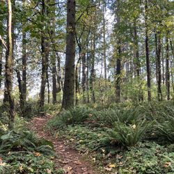 Matilda Jackson State Park - Matilda Jackson State Park