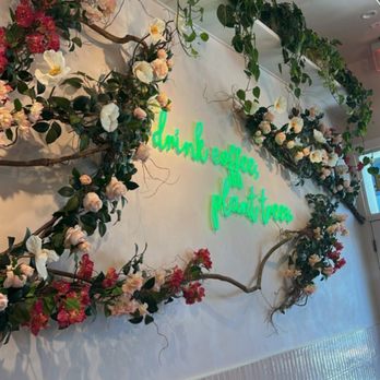 Coffee and Plants - Coffee & Tea Near Me - Studio City, California Coffee and Plants - Coffee & Tea Near Me - Studio City, California