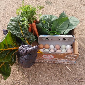 Sound Guild Farm - a box of eggs, carrots, and greens - Organic Stores Near Me - Pearblossom, California Sound Guild Farm - a box of eggs, carrots, and greens - Organic Stores Near Me - Pearblossom, California