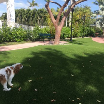 Village Green Park - Dog Park Area - Parks Near Me - Key Biscayne, Florida Village Green Park - Dog Park Area - Parks Near Me - Key Biscayne, Florida