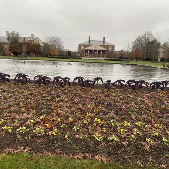 Furman University - Colleges & Universities Near Me - Greenville, South Carolina Furman University - Colleges & Universities Near Me - Greenville, South Carolina
