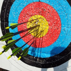 Cardio Trek Archery Lessons - Tight Arrow Cluster, August 2013.