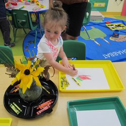 Gan Aliyah Preschool - Centerpiece inspired still life