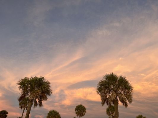 Fred Howard Park by null