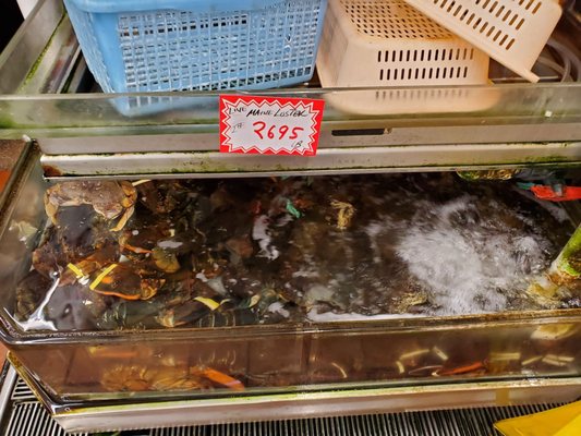 Tamashiro Market by null