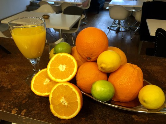 Restaurace Troja by null