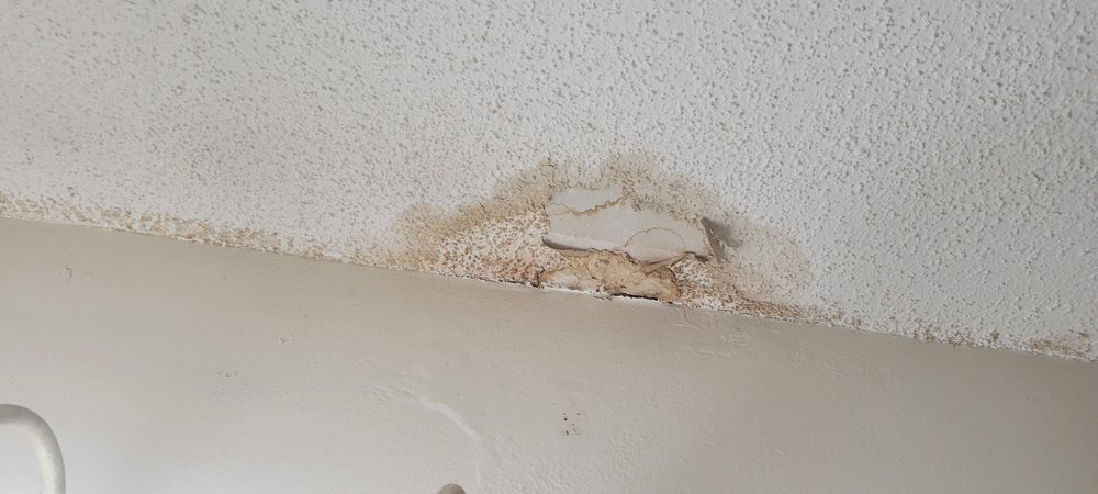 Slide of Sprinter Construction