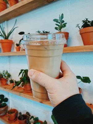 Cloche Coffee by null