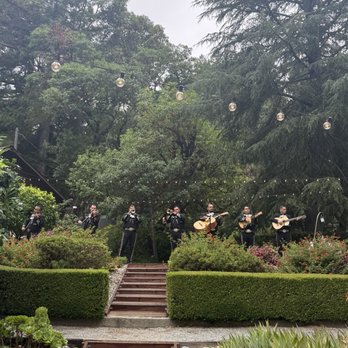 Mariachi Tapatio - Performing Arts Near Me Mariachi Tapatio - Performing Arts Near Me