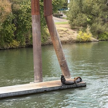 City Cruises - American Near Me - Sacramento, California City Cruises - American Near Me - Sacramento, California