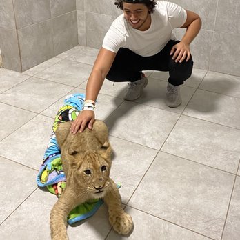 Zoological Wildlife Foundation - Lion Cub Encounter - Zoos Near Me - Miami, Florida Zoological Wildlife Foundation - Lion Cub Encounter - Zoos Near Me - Miami, Florida