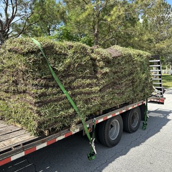 Expert Stump Removal - Tree Services Near Me Expert Stump Removal - Tree Services Near Me