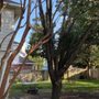 Photo of Becker's Quality Tree Service & Landscaping