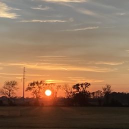 View out our RV door, no filter