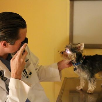 Tranquility Veterinary Clinic - Veterinarians Near Me - Tranquility, New Jersey Tranquility Veterinary Clinic - Veterinarians Near Me - Tranquility, New Jersey
