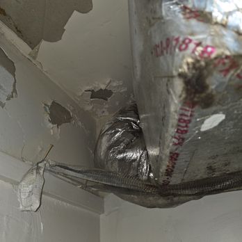 Michaelson Real Estate Group - In the bathroom closet ceiling - Property Management Near Me - Saint Johns, Florida